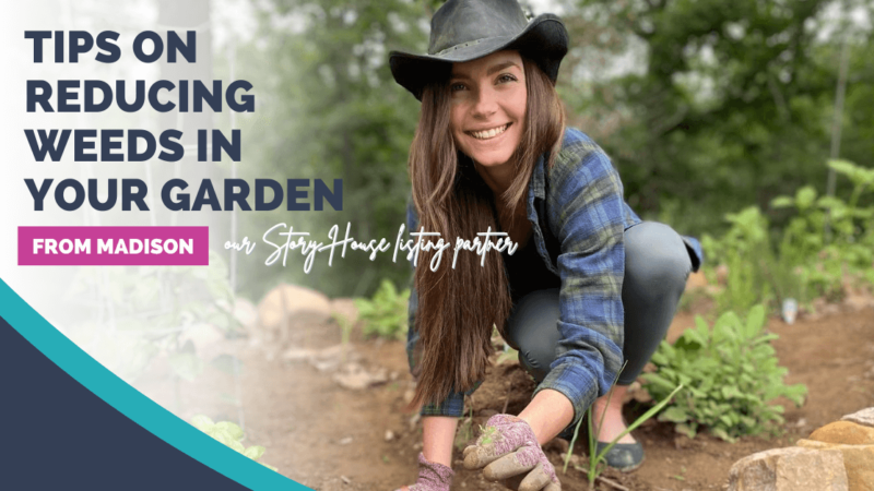 Tips on Reducing Weeds in Your Garden header image.