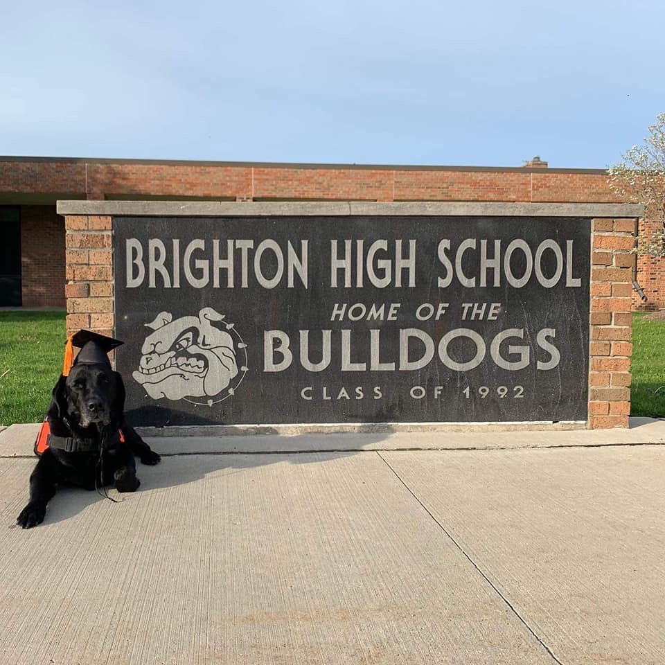 Brighton Schools header image.