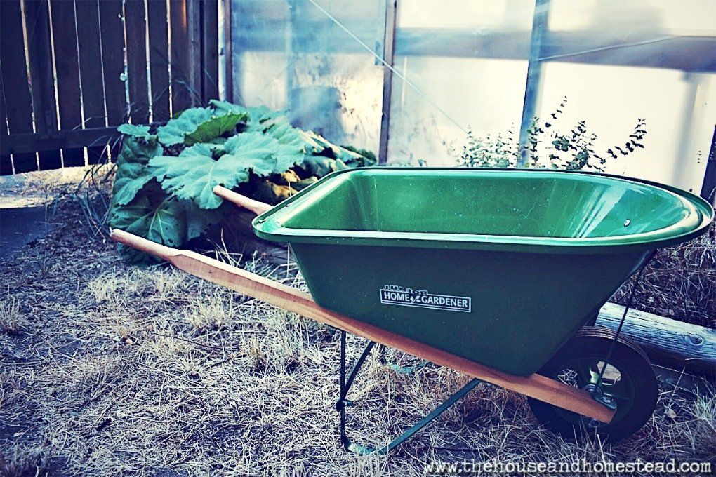 10 Fall Gardening Tips For A Productive Garden Next Year header image.