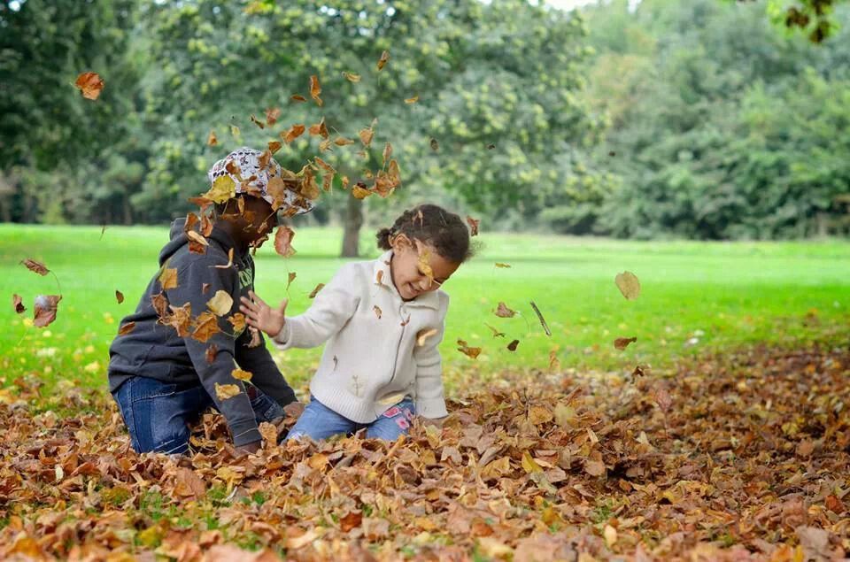 8 Tips For Fall Buyers header image.