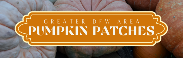 Pumpkin Patches in 2025 header image.