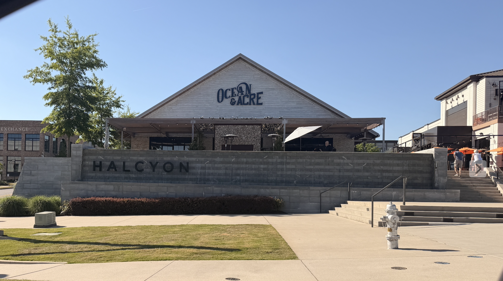 Halcyon in Forsyth