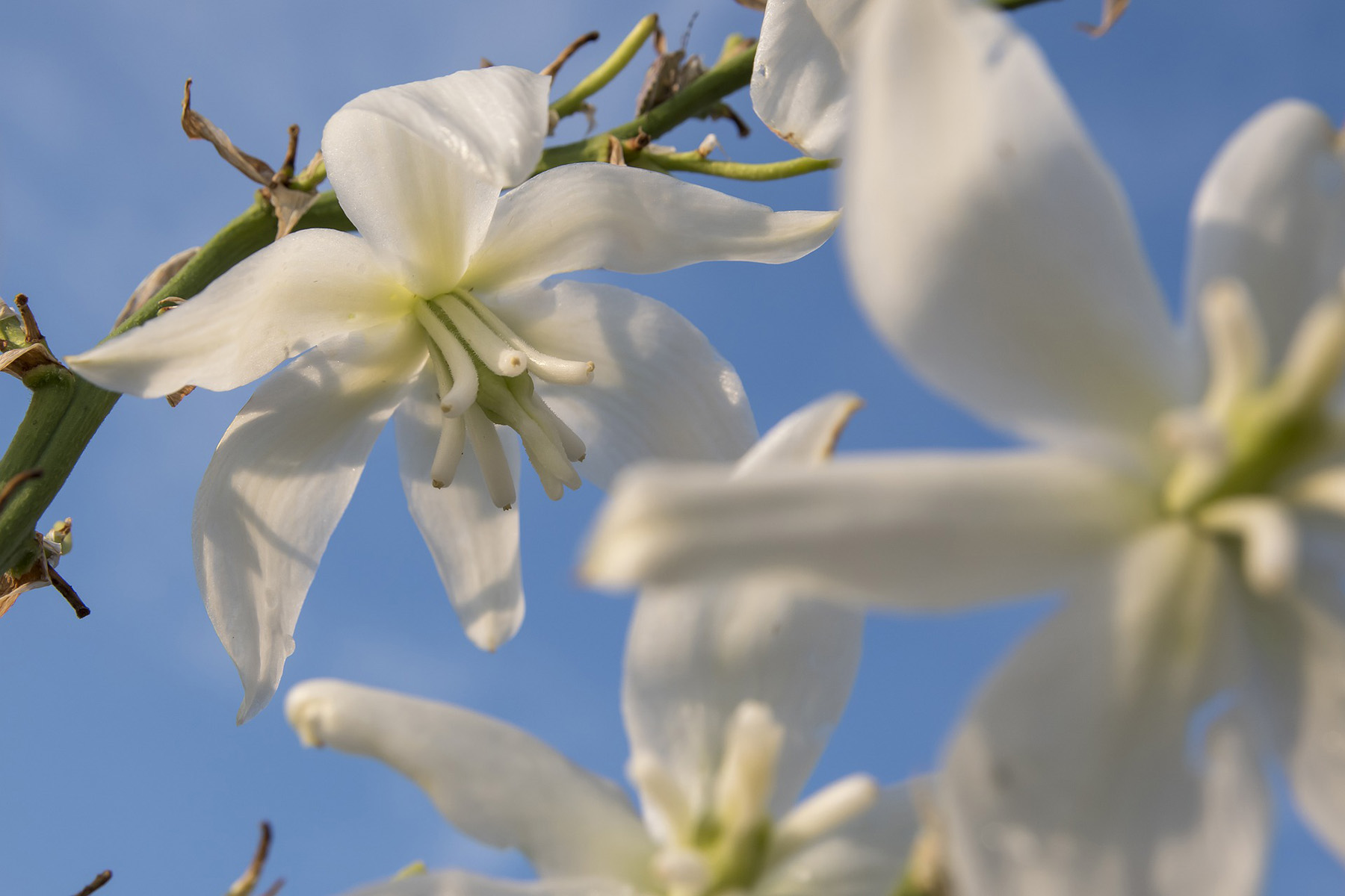 Q1 2024 Clark County Real Estate Market Update header image.