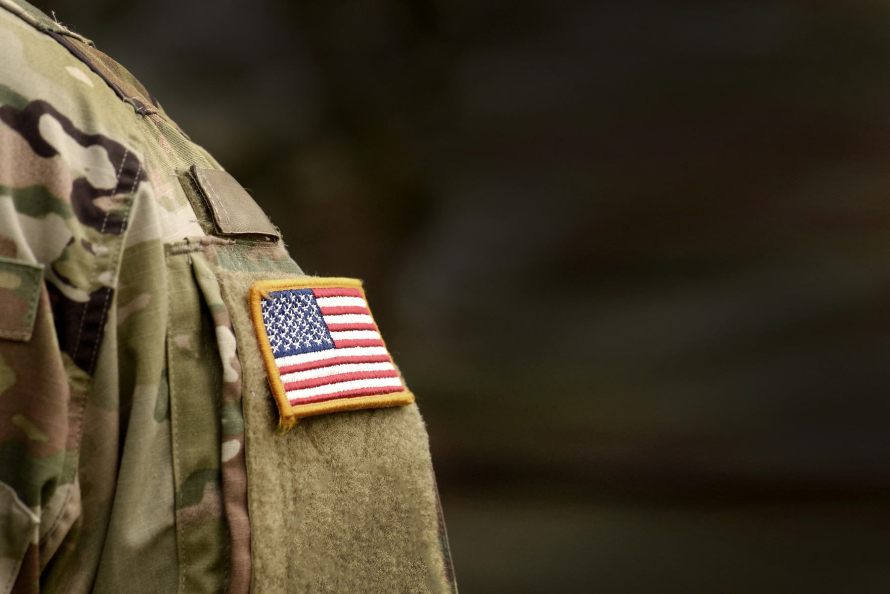 Ways to Honor Veterans in Portland & Vancouver header image.