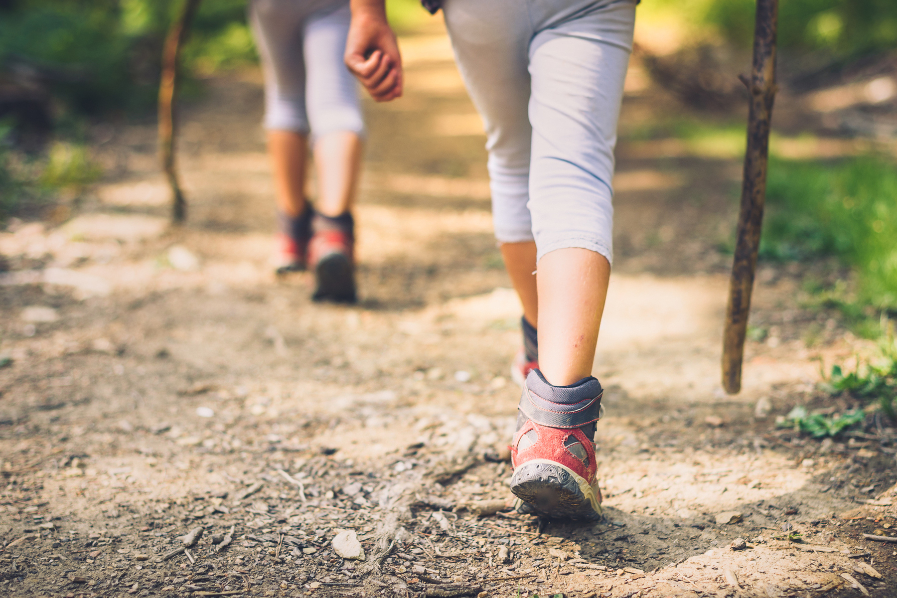 The Best Portland Spring Hikes header image.