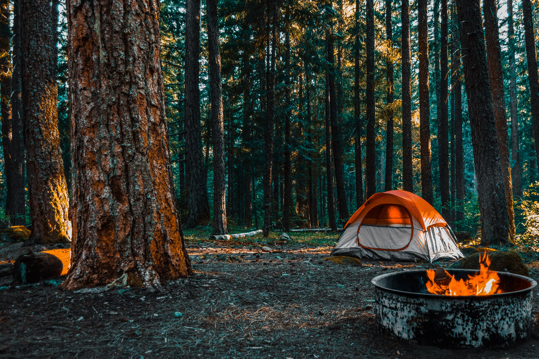 10 Best Campgrounds Near Portland, OR header image.