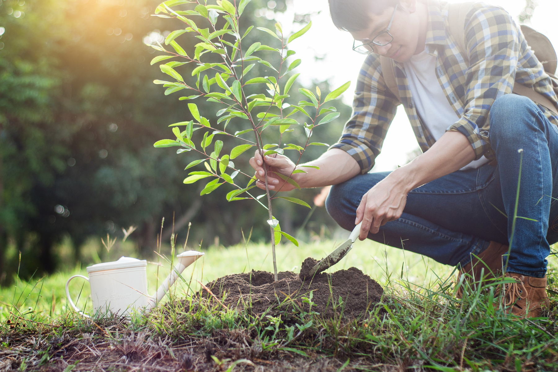 Elevate Your Portland Garden with These 10 Must-Have Native Plants for Spring header image.