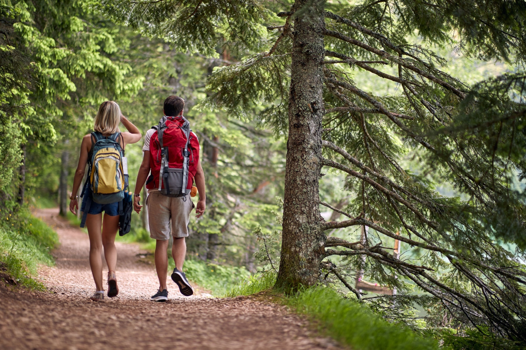 7 Best Hidden Hiking Trails in Clark County to Explore header image.