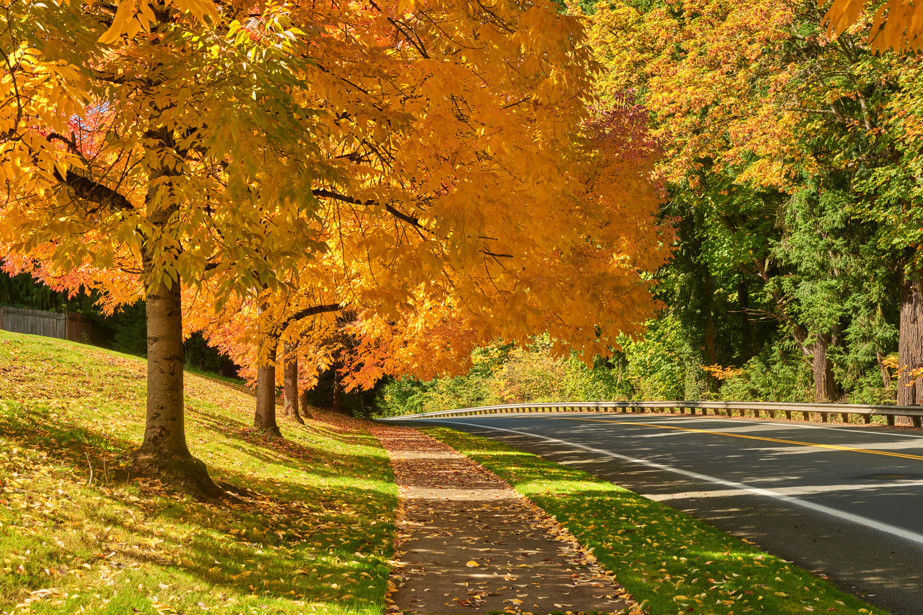 Your Vancouver Fall Bucket List header image.