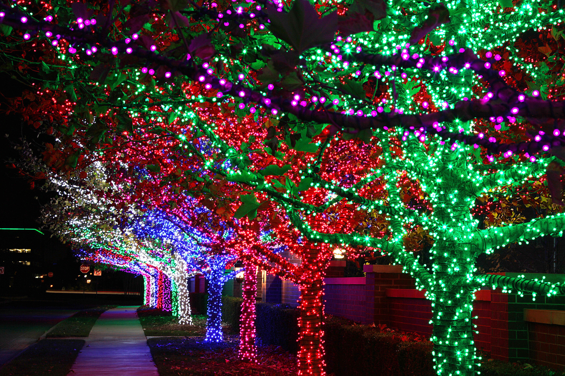 Clark County’s Must-See Holiday Lights Displays header image.