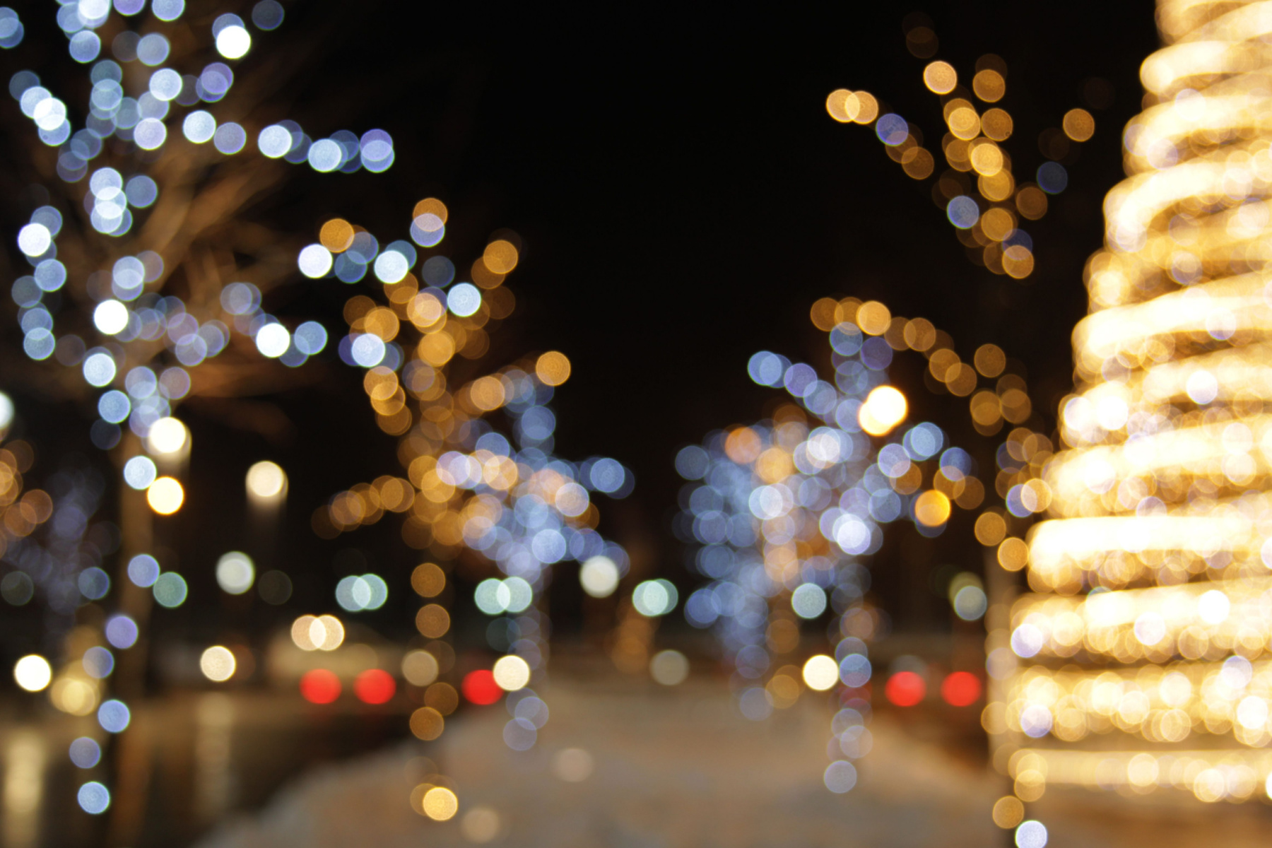 Portland’s Must-See Holiday Lights Displays header image.