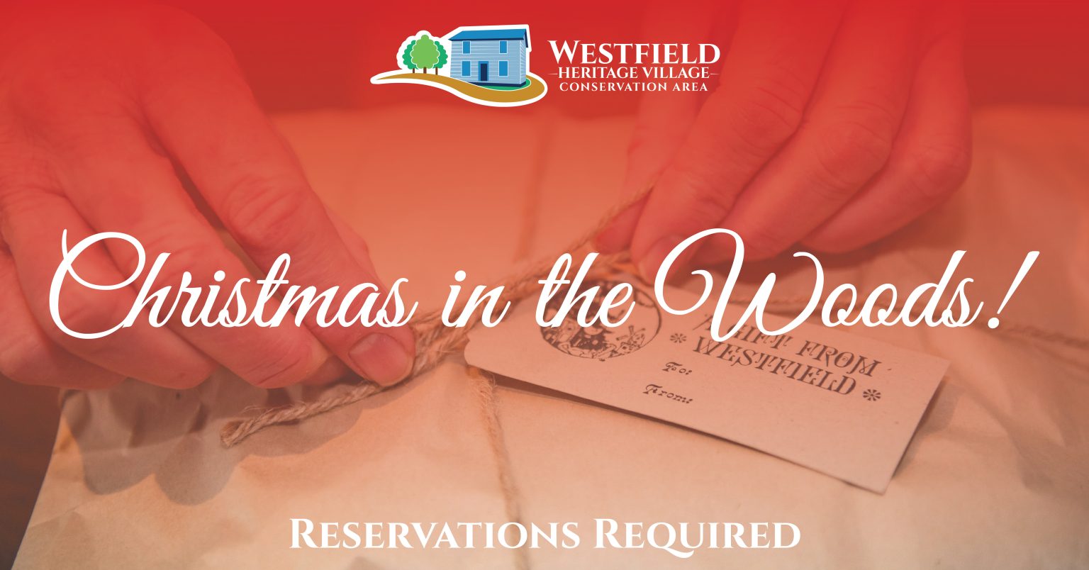 November 2025 Real Estate update header image.