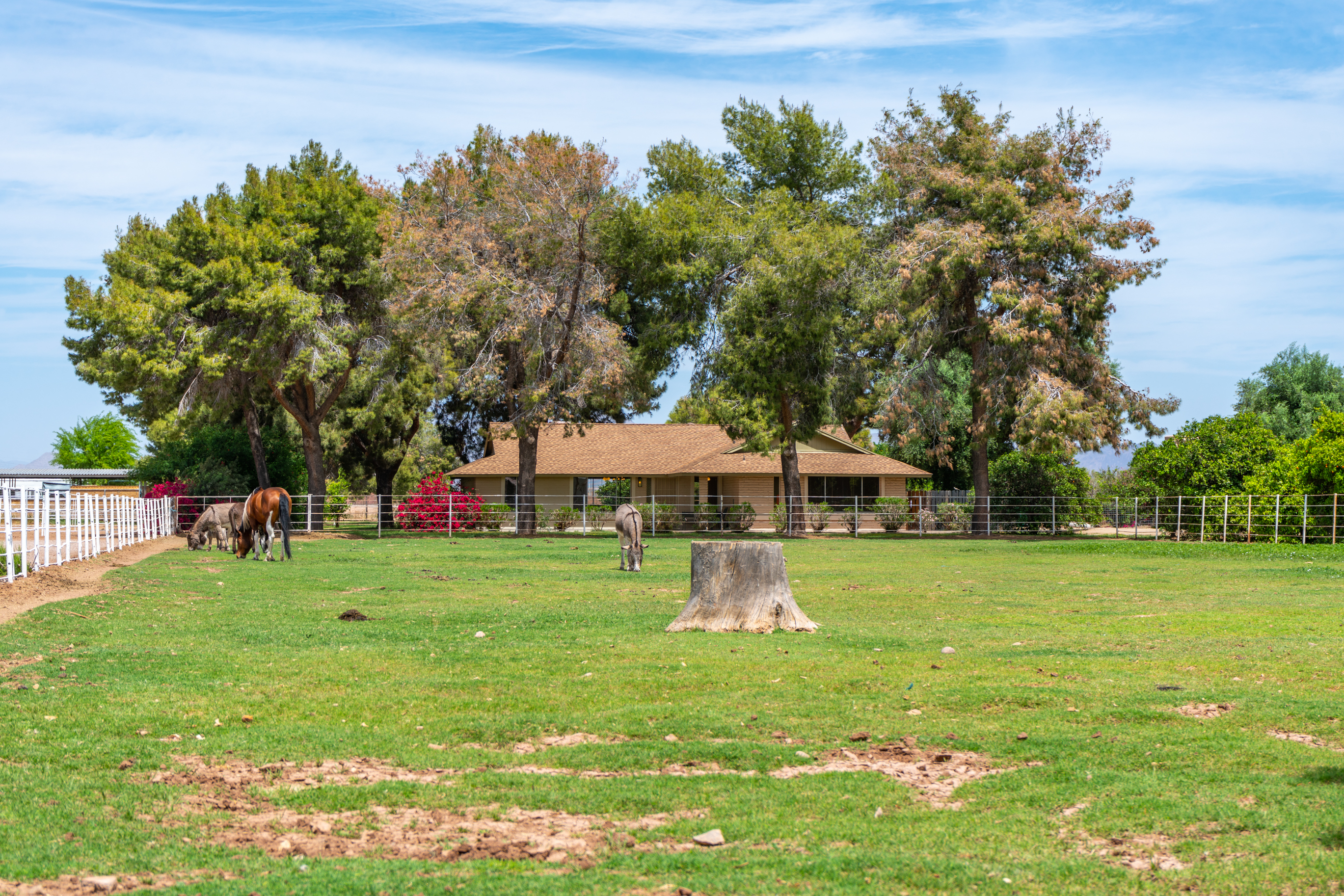 NEW LISTING: 3 Bed 2 Bath Lehi Horse Property Home w/ Remodeled Kitchen! header image.
