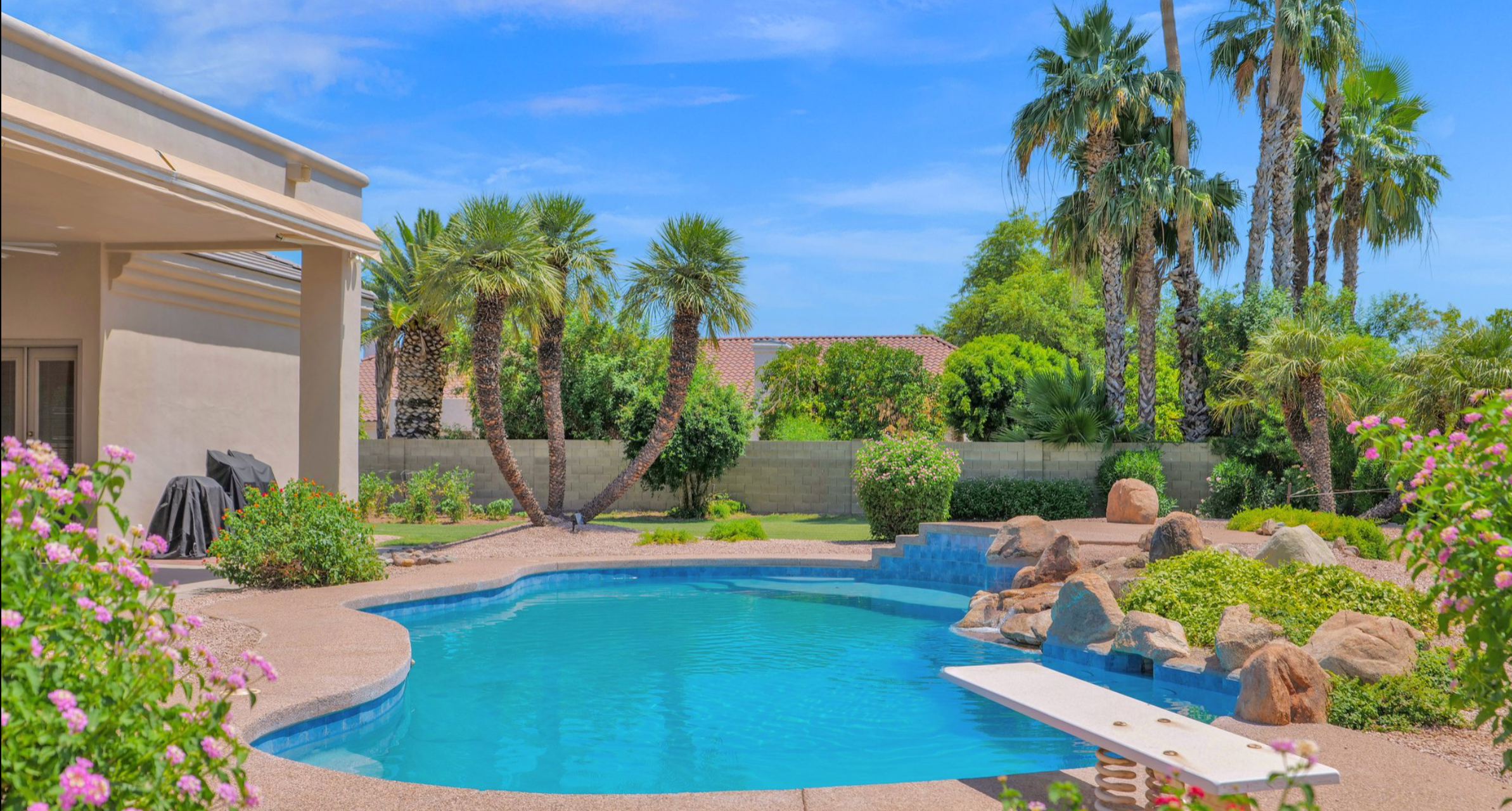 Luxury pool with lots of palm trees