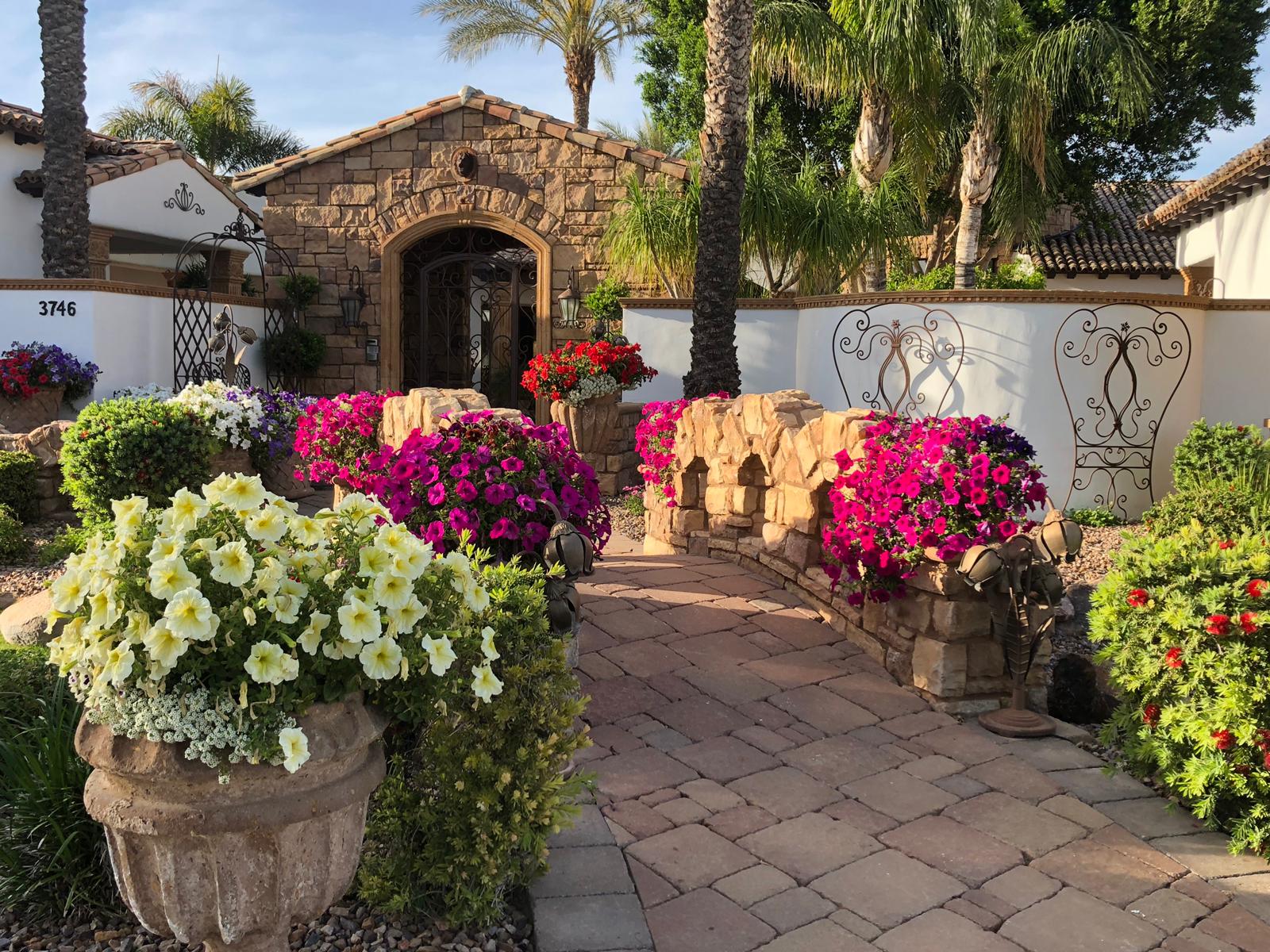 Take A Look At How Pretty The Flowers Are In Arizona This Time Of The Year! header image.