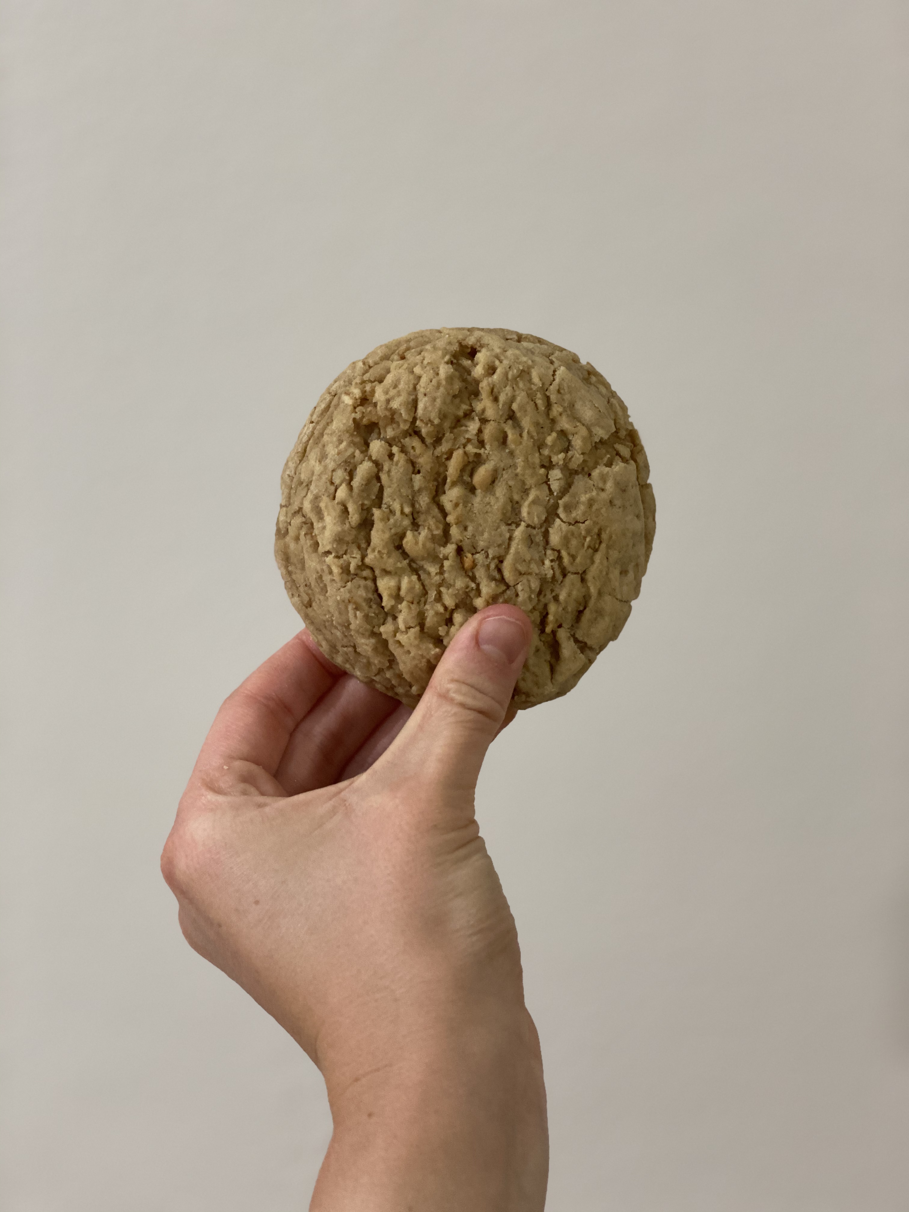Order And Pick Up Your Oatmeal Cookies Today From Oats-N-Cookies on Instagram! header image.
