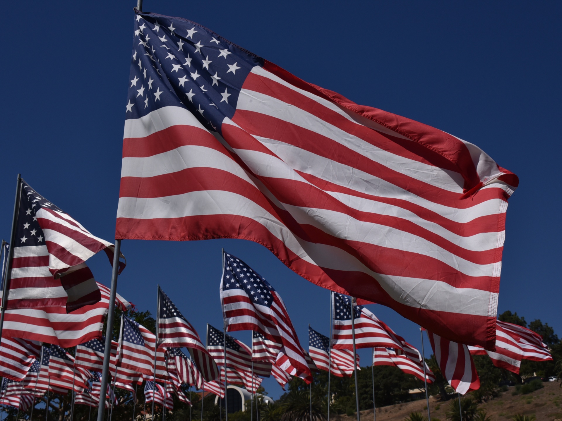 Healing Fields Returns At Tempe Town Lake For Sept. 11 Tribute header image.
