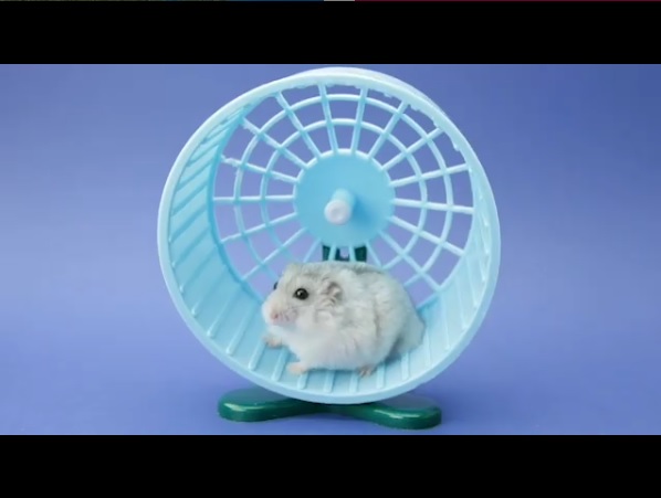 What Is A Hamster Agent? header image.