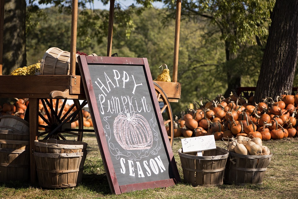 Be Sure To Visit These Arizona Pumpkin Patches & Farms This Fall Season! header image.