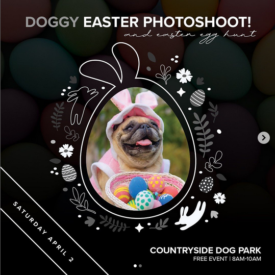 Come Join The Doggy Easter Photoshoot & Easter Egg Hunt At Countryside Dog Park! header image.