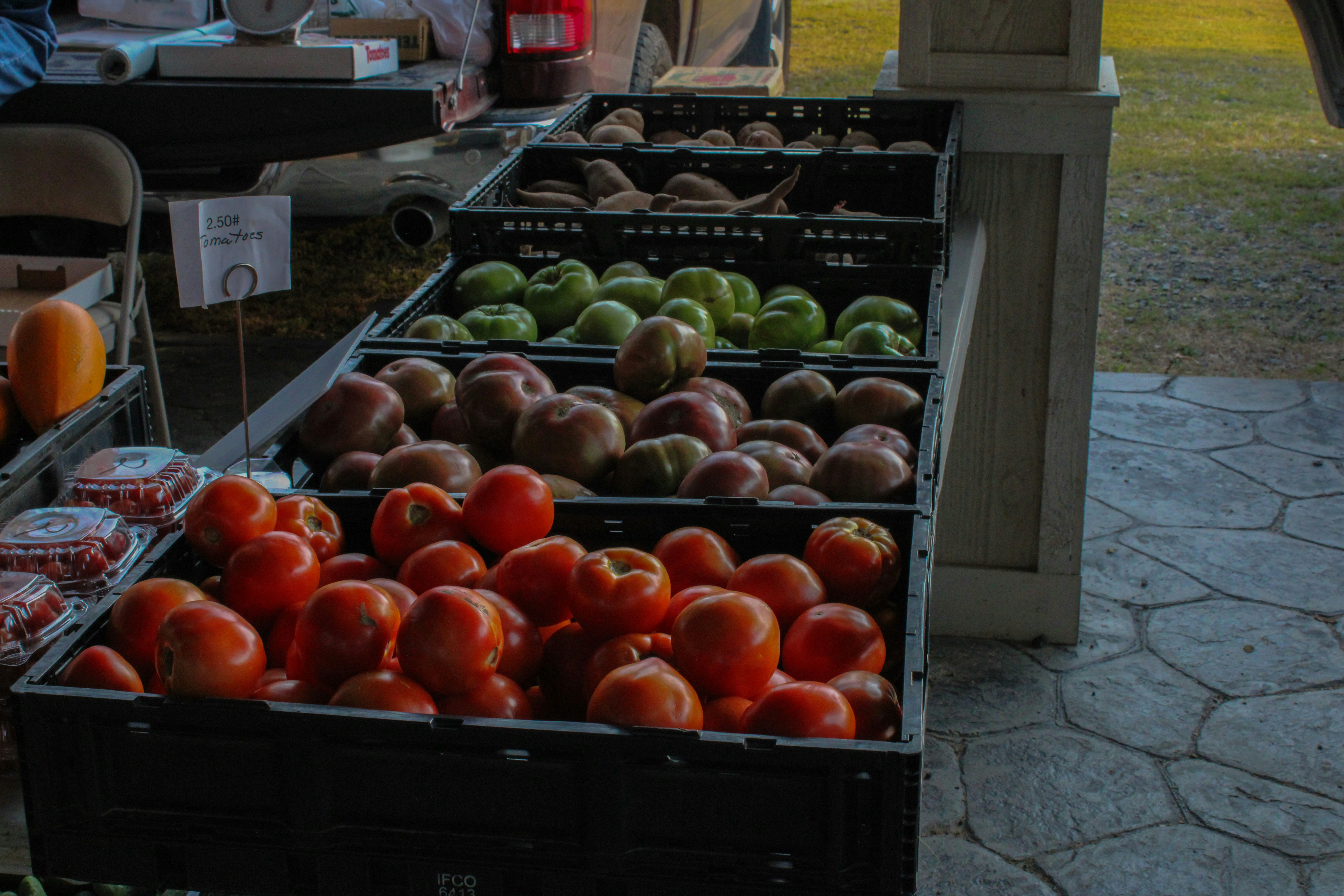 🌽 Fresh Finds: Exploring Orlando’s Best Farmers Markets header image.