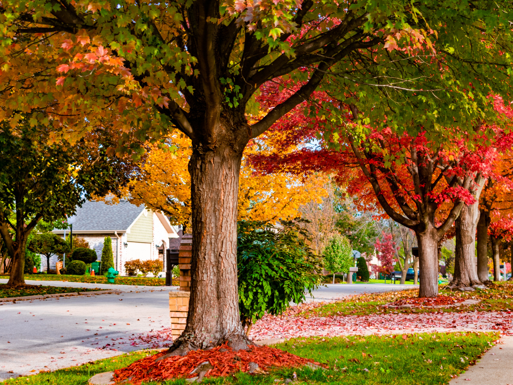 DC Area Housing Market Update, September 2026: Inventory Up