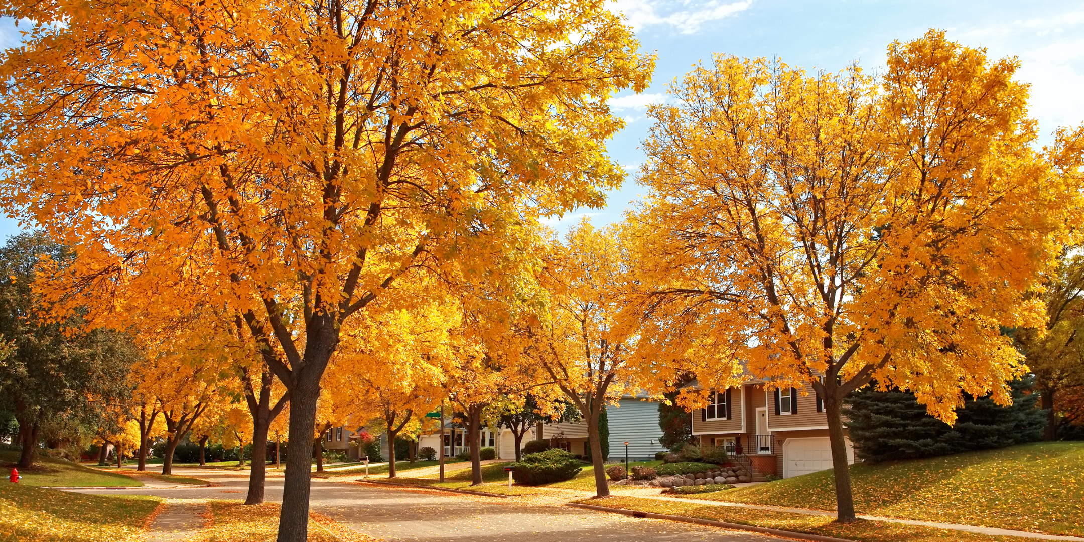 Howard County, MD Housing Market: November 2023 vs. 2024 Trends header image.