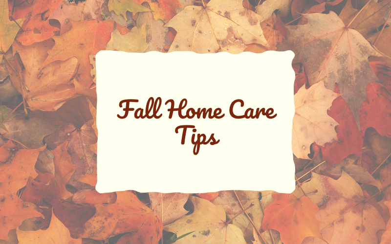 Fall Home Care Tips 🍂 header image.