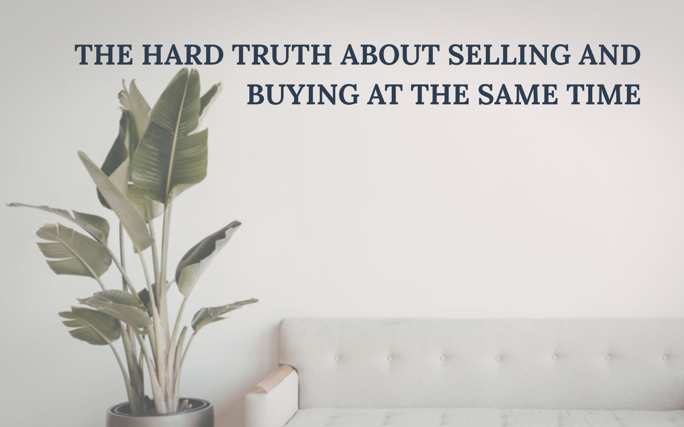 living room couch with plant