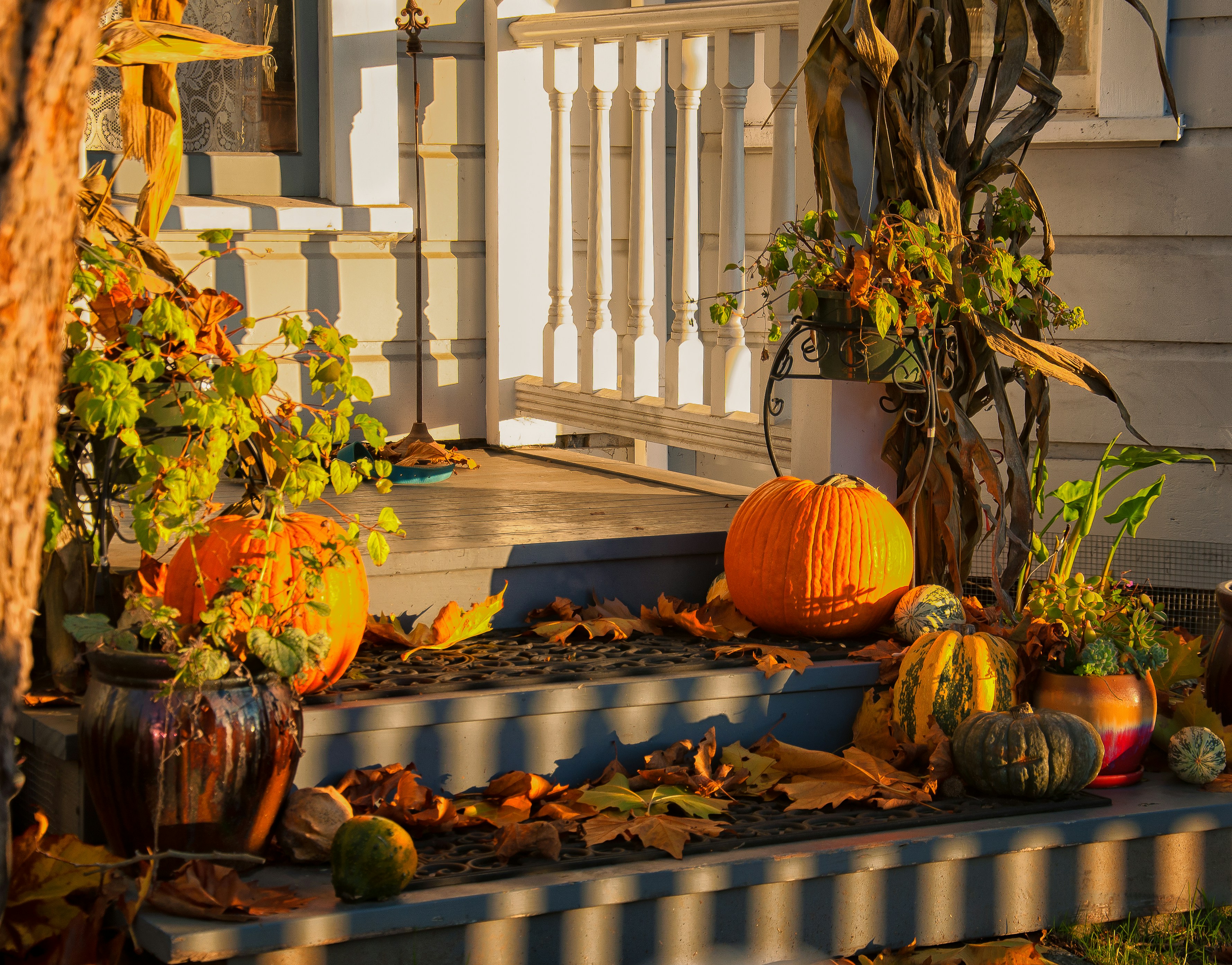 Fall Home Prep: 7 Tasks Every Homeowner Should Do Before Winter header image.