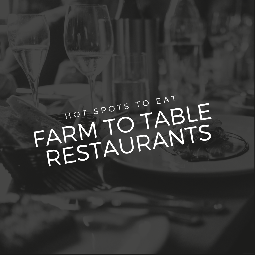 Farm-to-Table Restaurants header image.