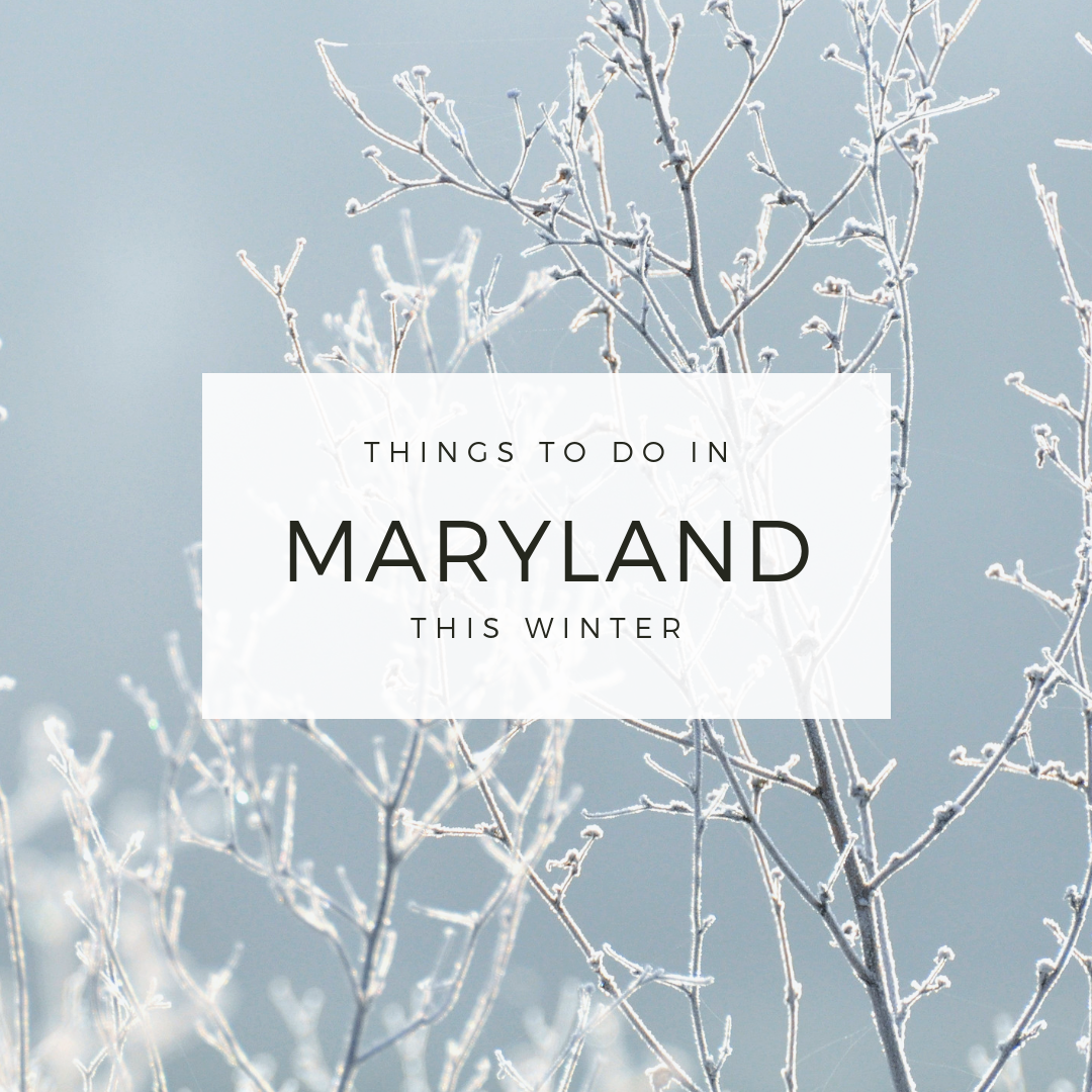 The Brrrfect thing to do in Maryland header image.
