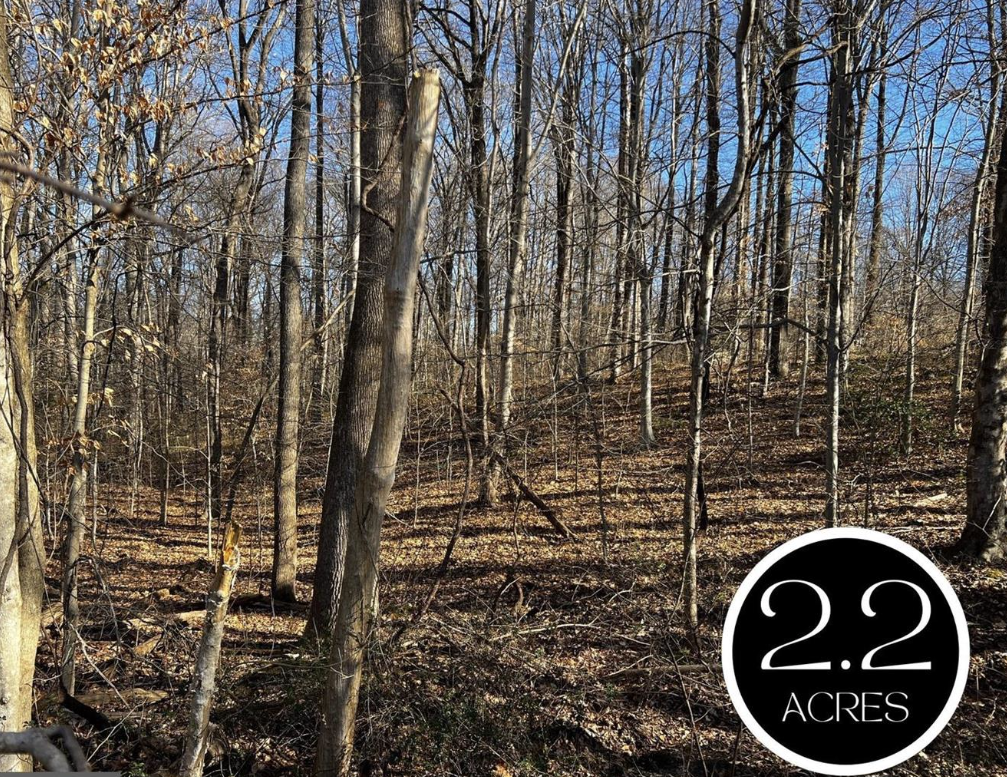 Buildable 2.22-Acre Lot for Sale in Dunkirk, Anne Arundel County header image.