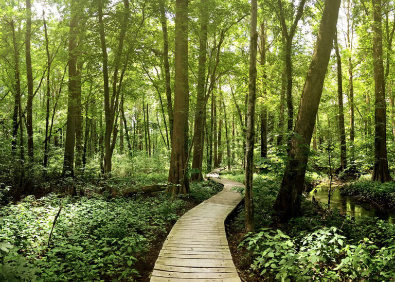 The Best Parks in Charles County, Maryland! header image.