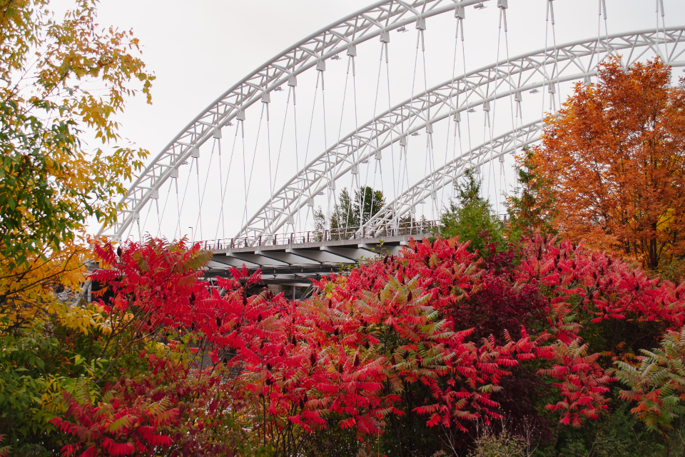 Best Fall Weekends Near Jersey City: Day Trips for Local Homeowners header image.