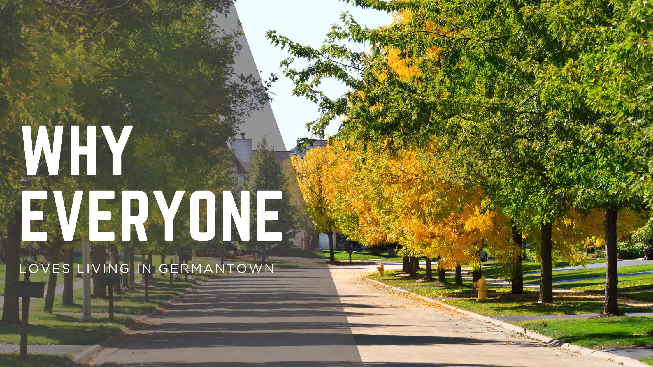 Why Germantown, TN Is One of the Most Sought-After Communities in the Mid-South header image.