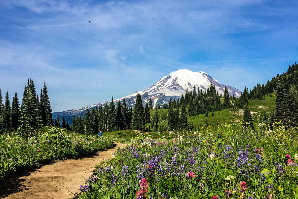 10 Terrific Weekend Road Trips Near Seattle This Summer header image.