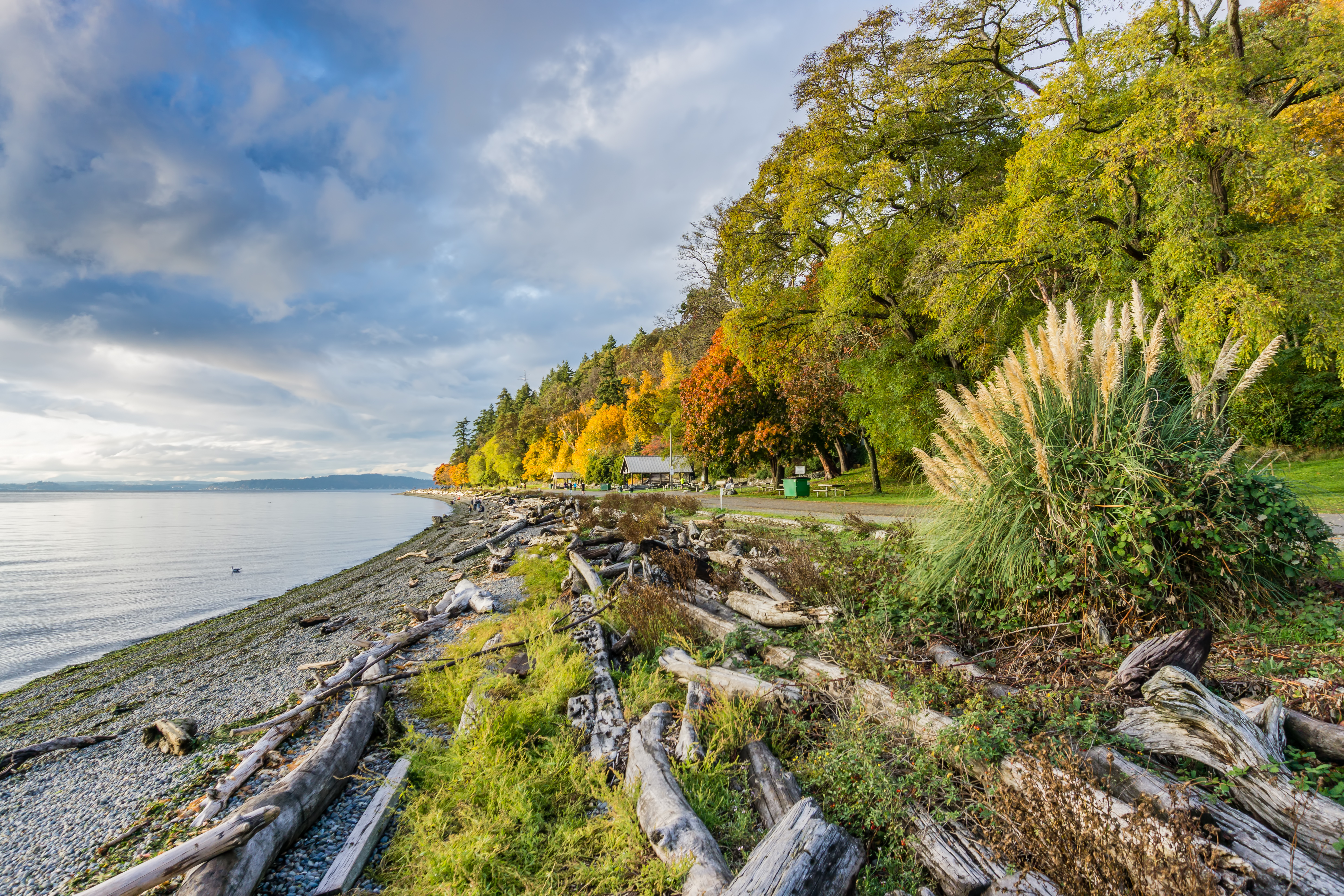 The Best West Seattle Parks header image.
