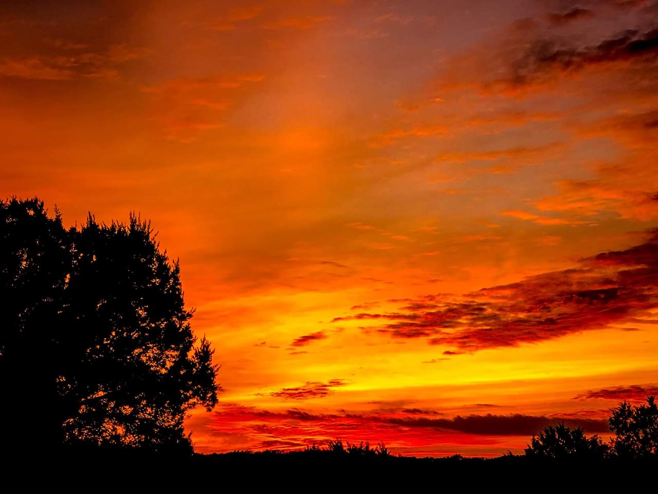 Garlic Creek Sunrise - What a Way to Start Your Day header image.