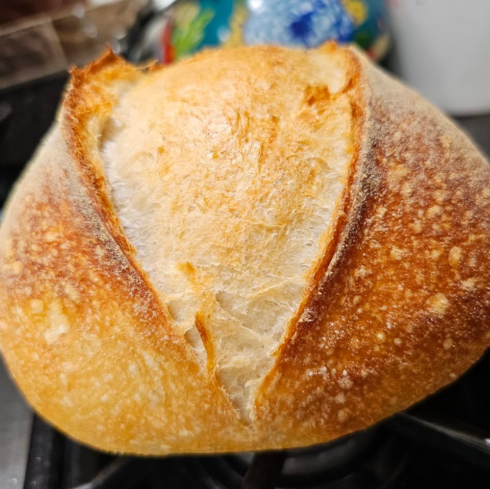 Business Spotlight: Nicola's Heavenly Cucina header image.