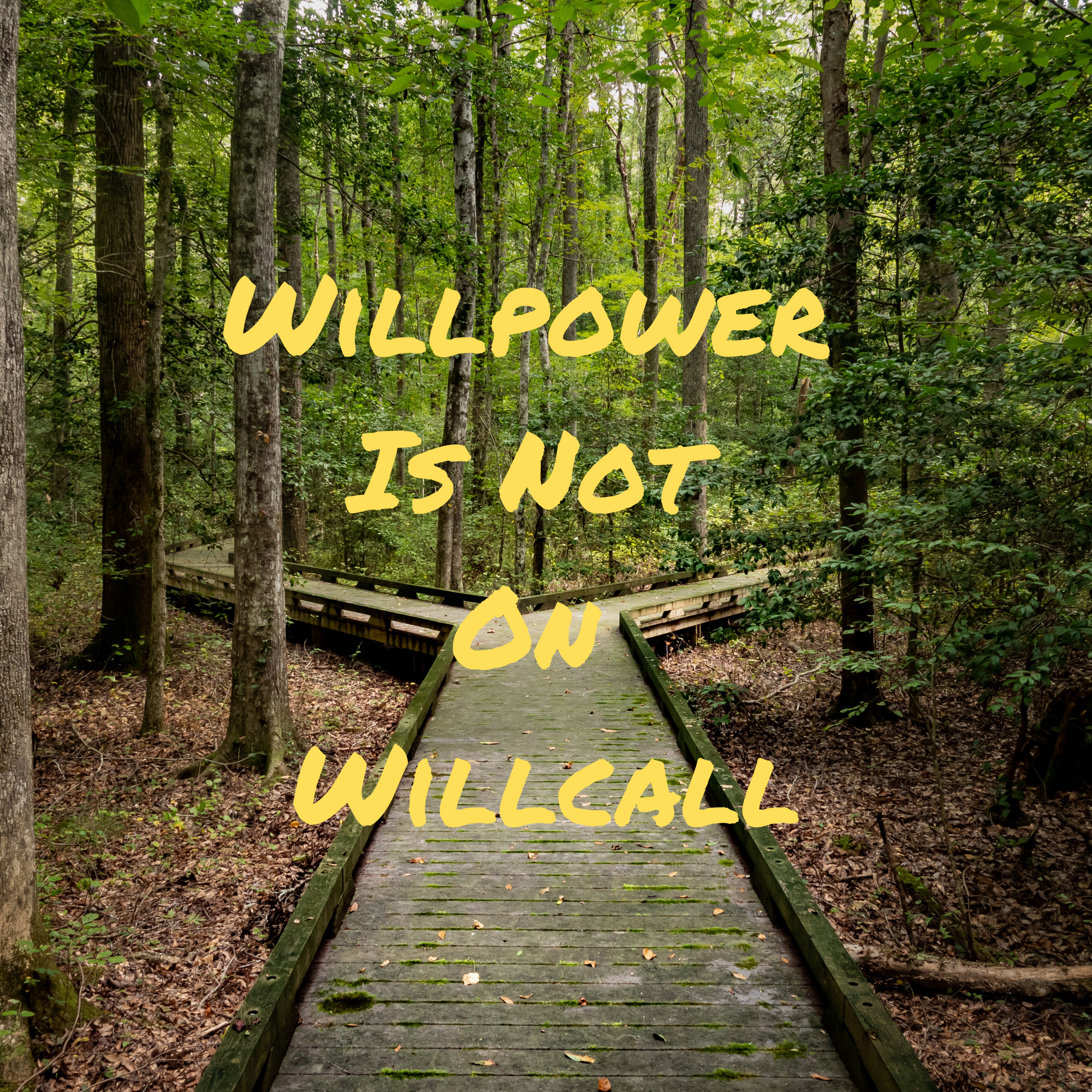 Willpower Is Not On Willcall header image.
