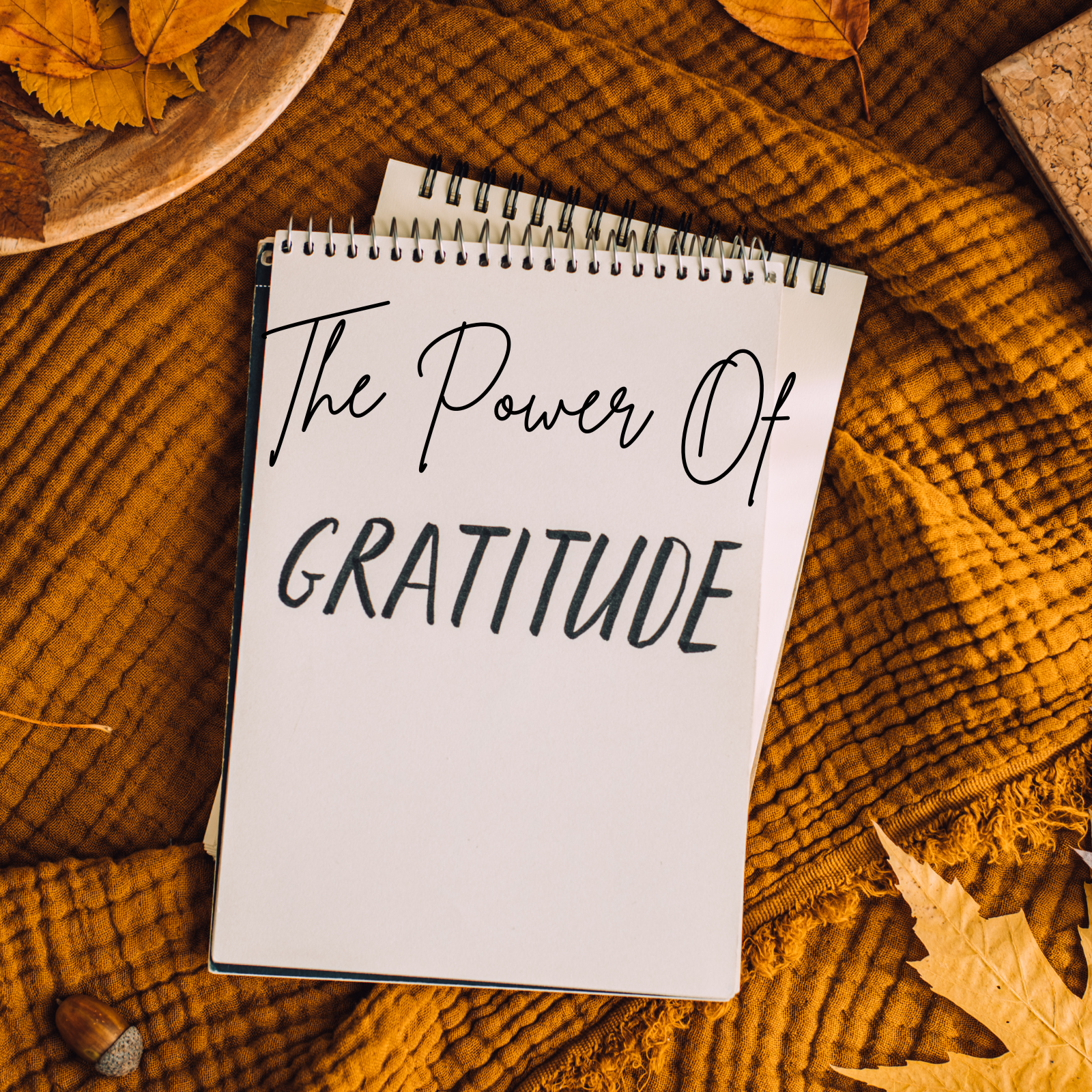 The Power of Gratitude: A Game-Changer for Real Estate Agents header image.