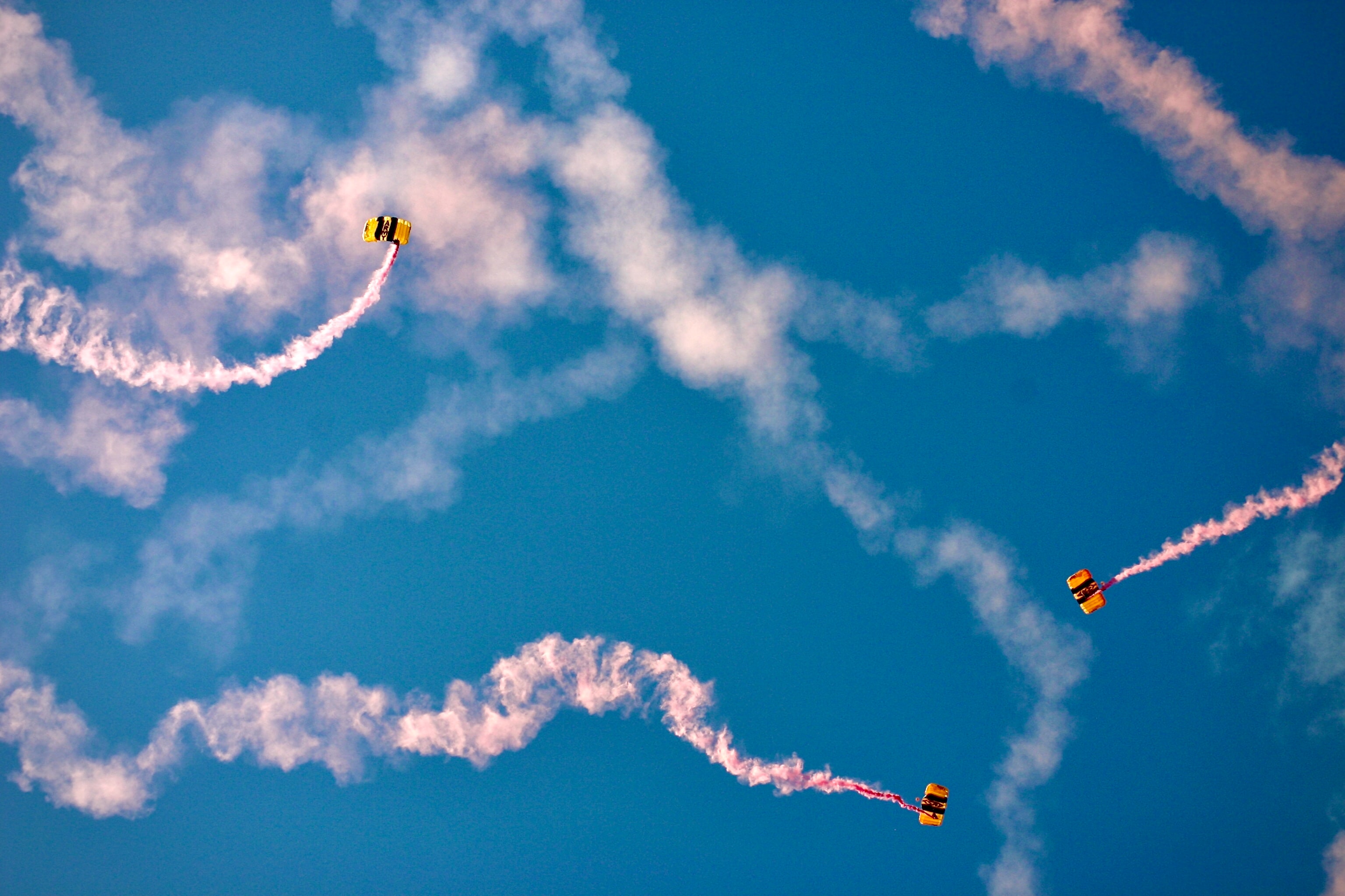 What the larger migration patterns are showing us about the pandemic. header image.