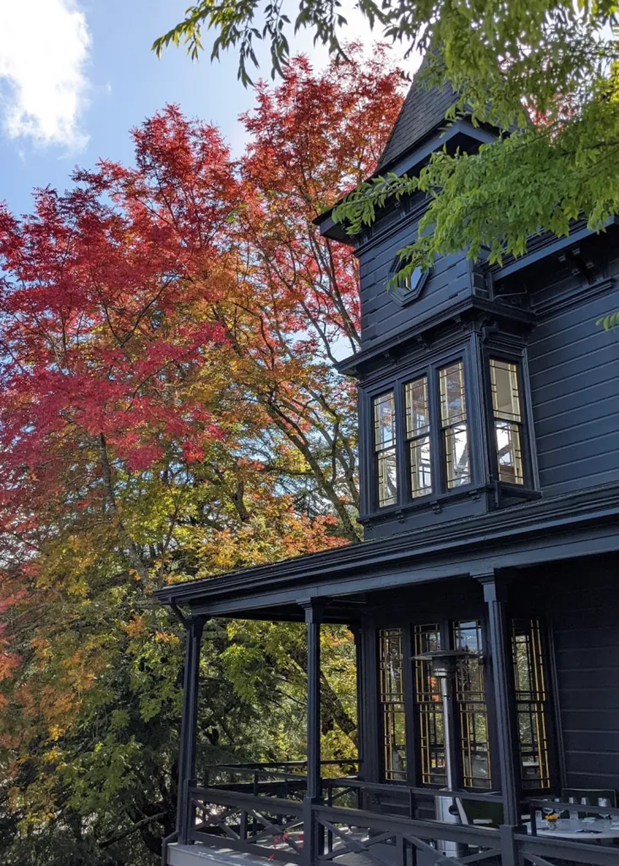 18 awesome things to do in the Bay Area to enjoy and celebrate fall! header image.