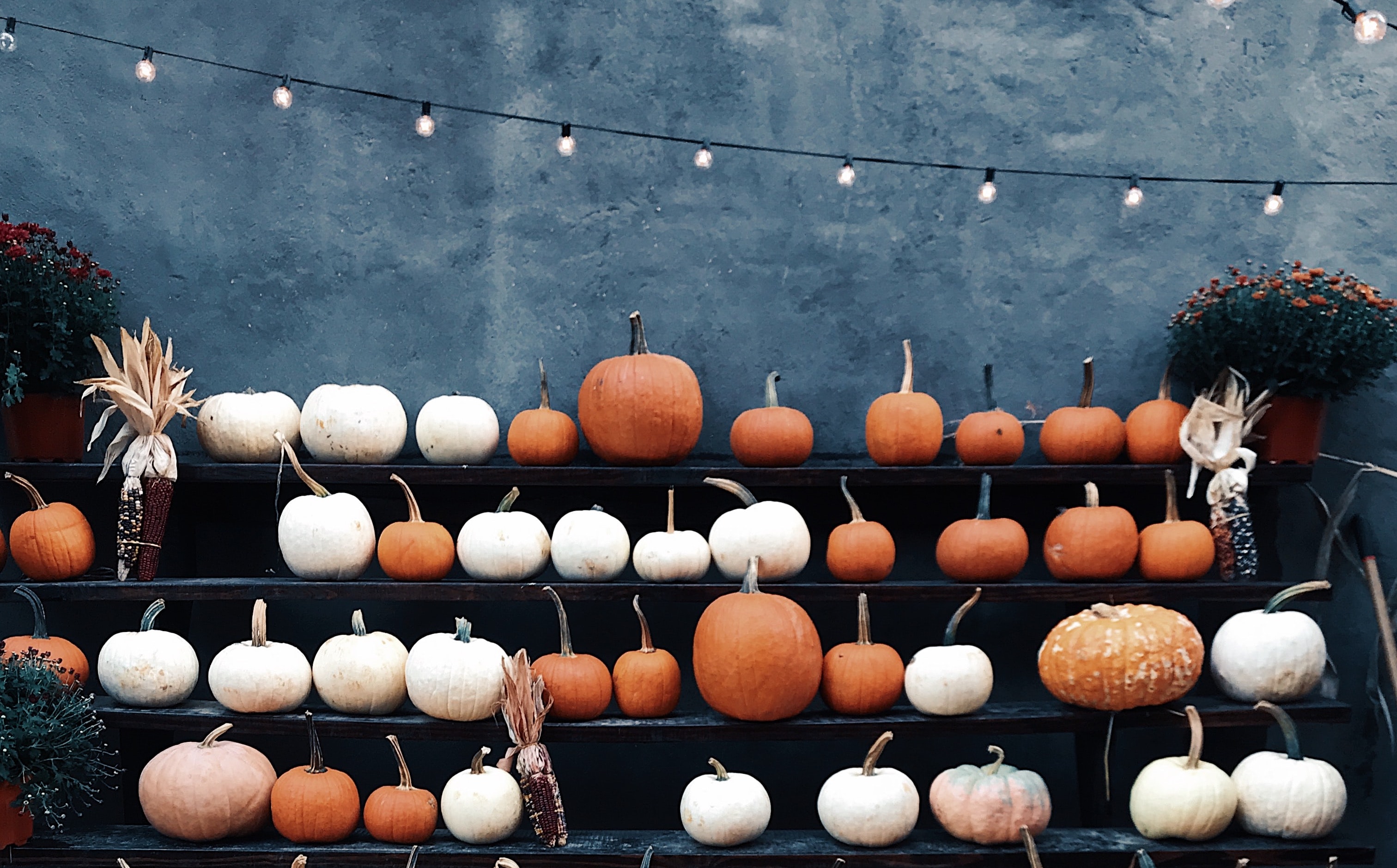 How are you celebrating this year? header image.