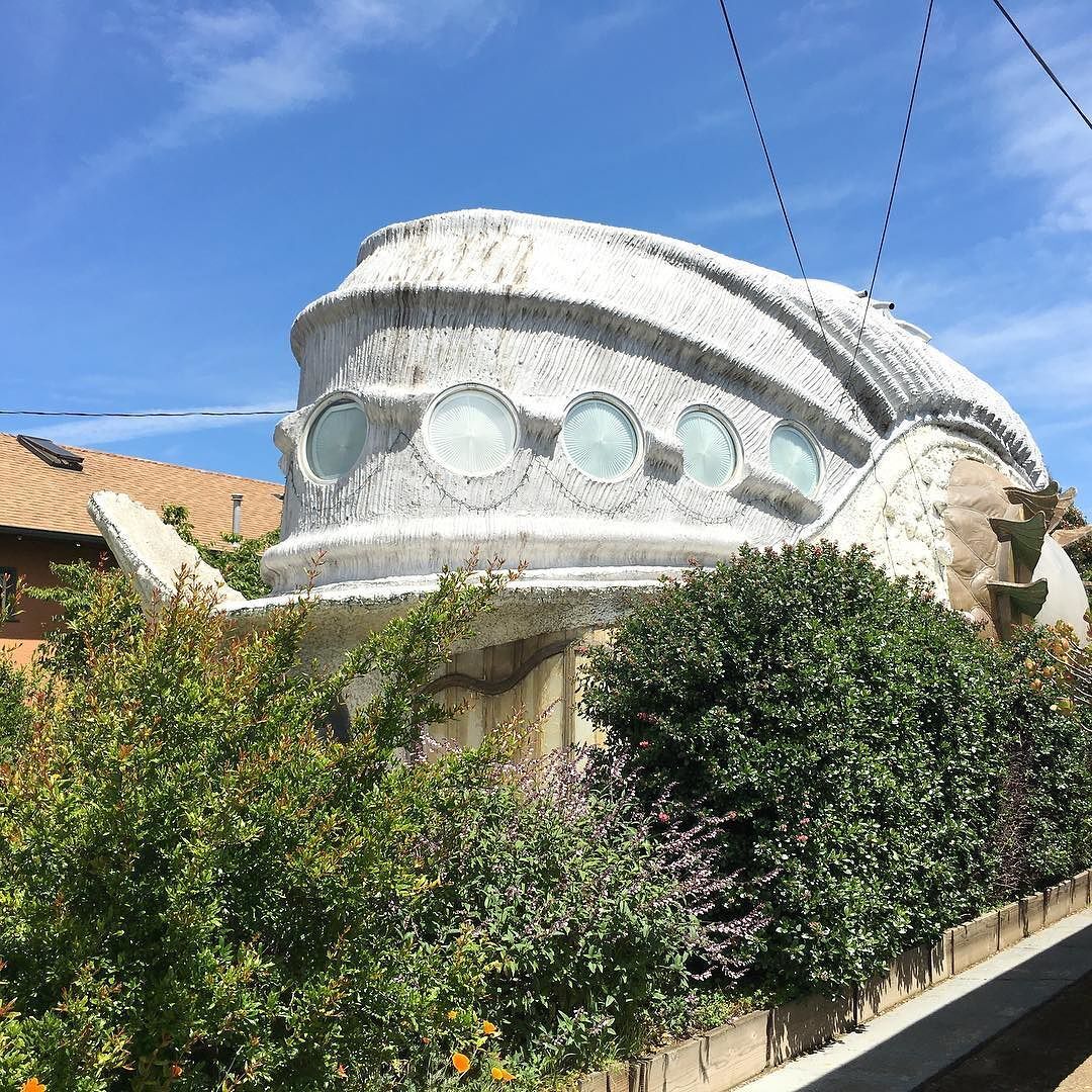 Boho, artsy, modern, edgy, wacky—never a dull moment. We’re talking Berkeley homes and the style in which they are designed. header image.