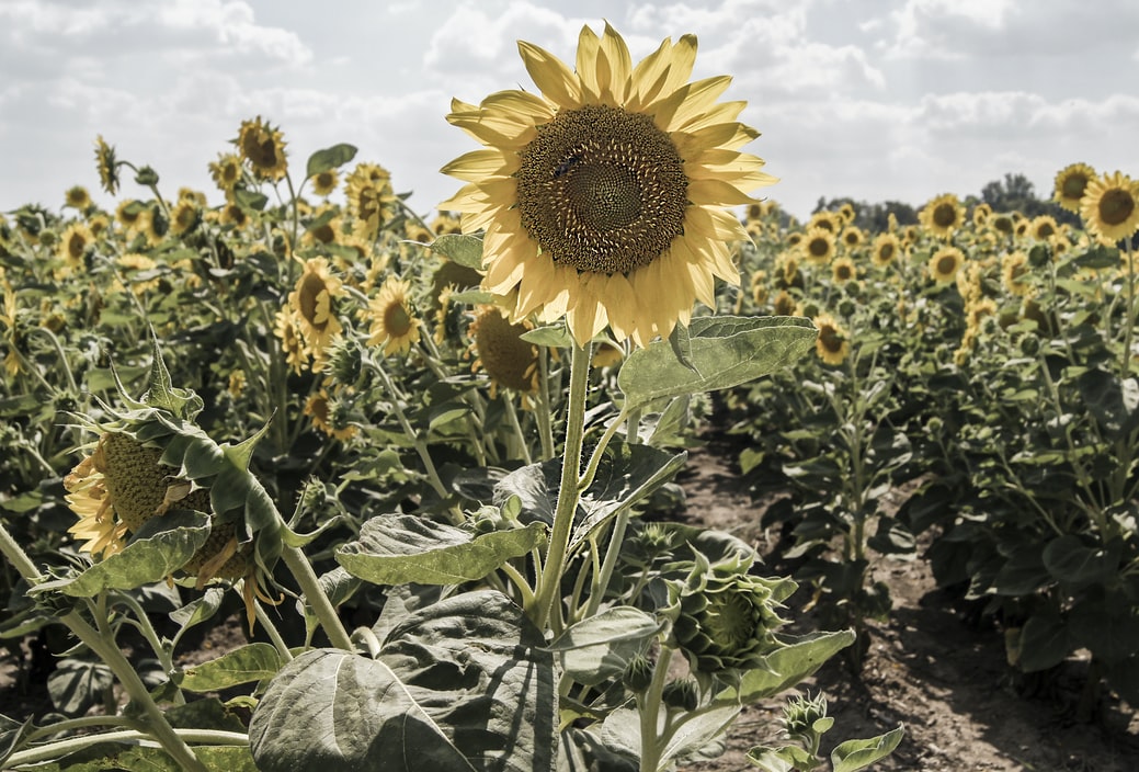 A whirlwind season of bad news—so what can we do about it? header image.