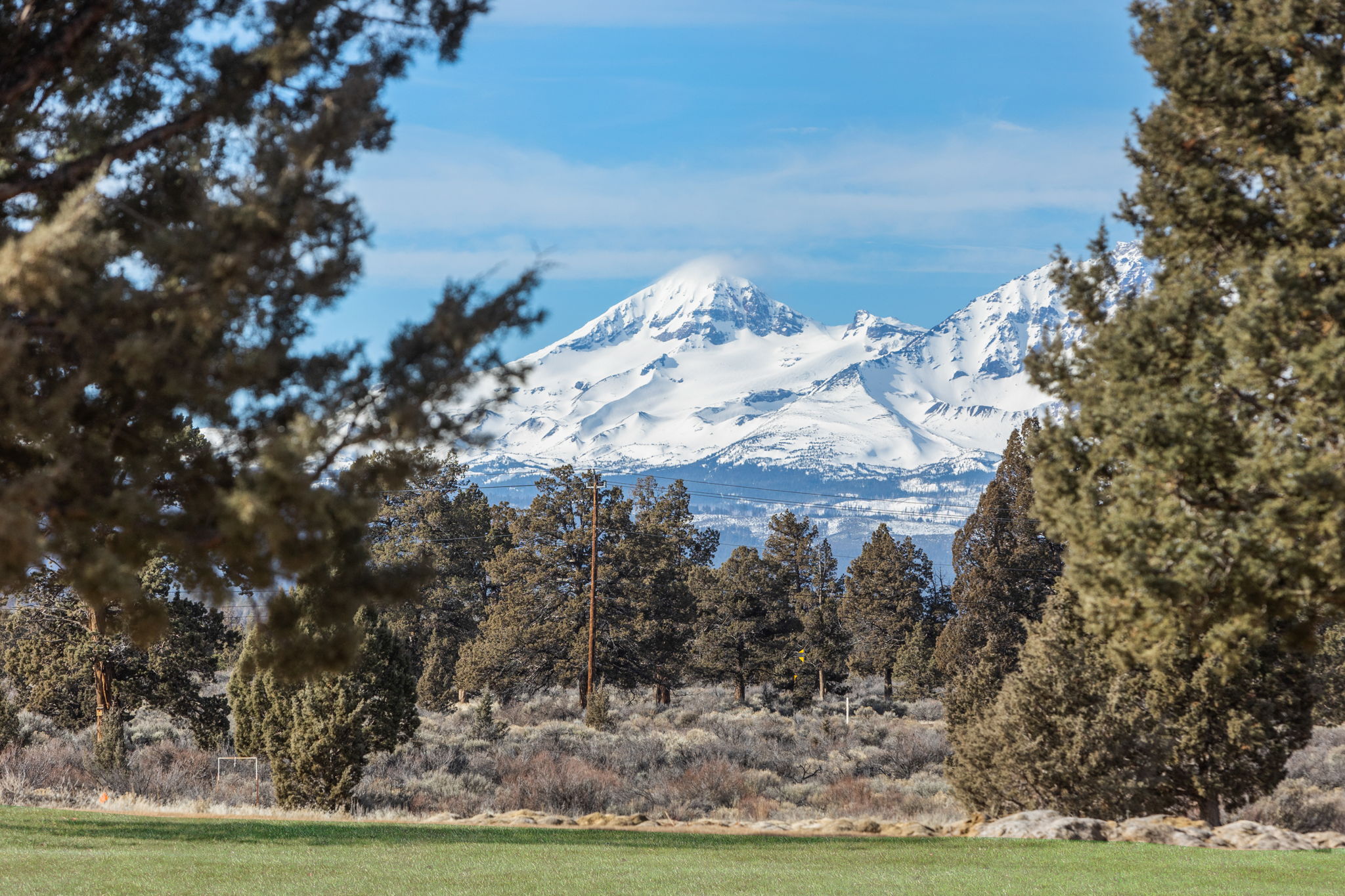 December 2023 Market Update header image.