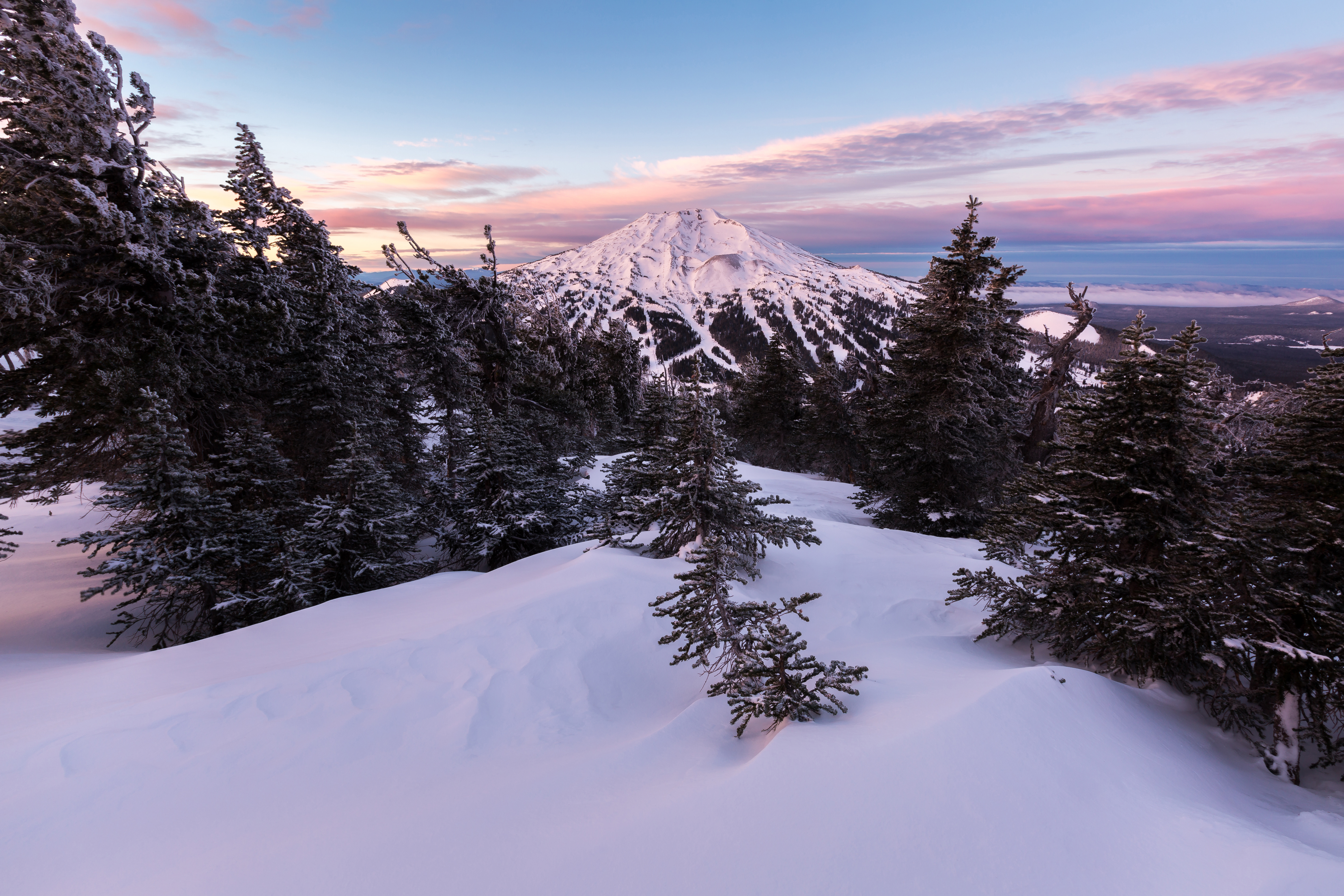 January 2026 Market Report header image.