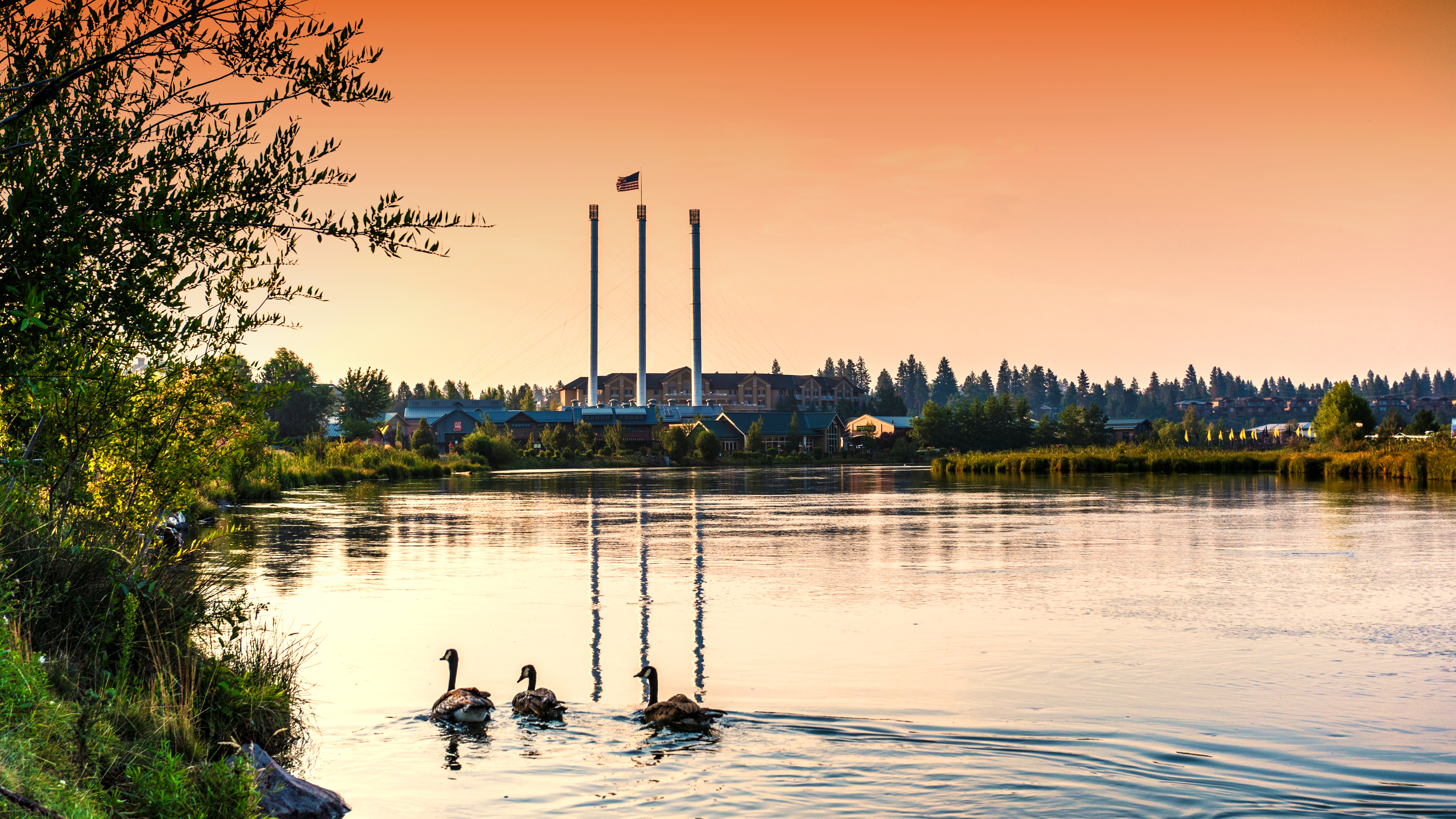 October 2025 Market Report header image.